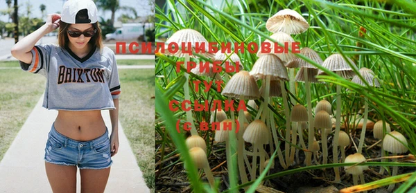 герыч Вязьма